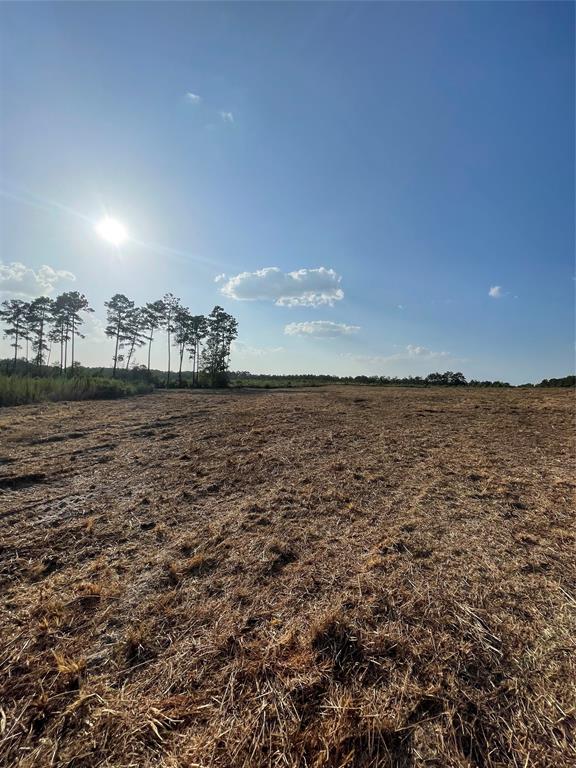Enjoy this 16 acre property with great views! This tract has had clearing work done and is ready for you to build your dream home! This parcel offers a low traffic, county maintained road for your convenience. Enjoy your privacy that this parcel offers you. Easy access to US 59 (I-69).