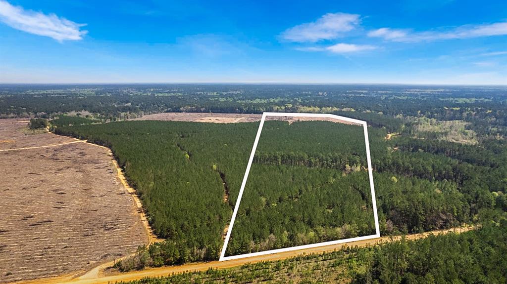 Discover a serene +/- 73 acre tract, close to Livingston, TX. Embrace privacy and seclusion in this picturesque setting. Adjoining the renowned Big Thicket National Preserve, this land offers unparalleled natural beauty. Ideal for hunting enthusiasts or those seeking a stunning homesite.

*Boundary lines are approximate*
