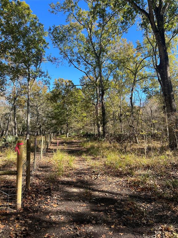 3941 County Road 780  , Sweeny, Texas image 4