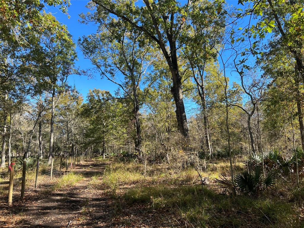 3941 County Road 780  , Sweeny, Texas image 6