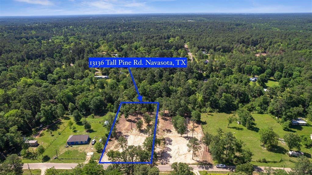 13136 Tall Pine Rd Lot B  , Navasota, Texas image 8