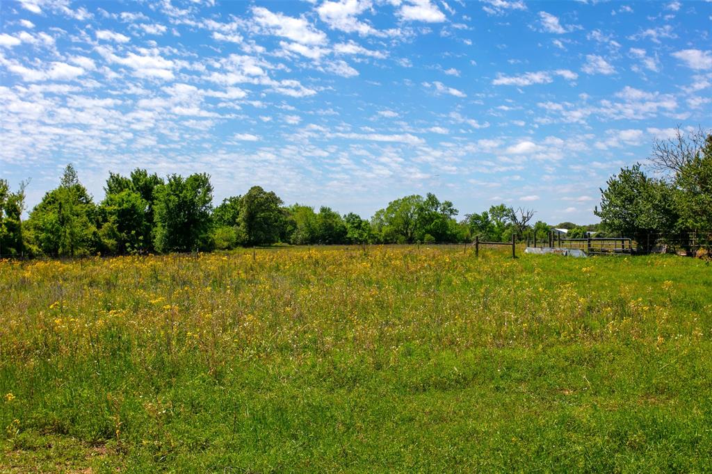 6558 Farm To Market 1119  , Centerville, Texas image 14