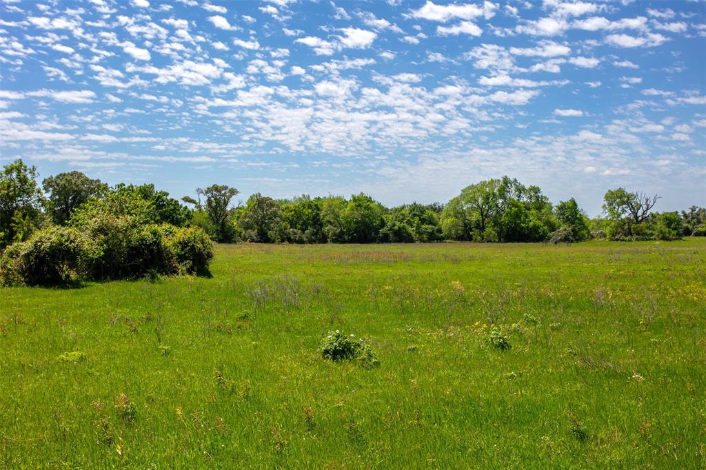 6558 Farm To Market 1119  , Centerville, Texas image 17