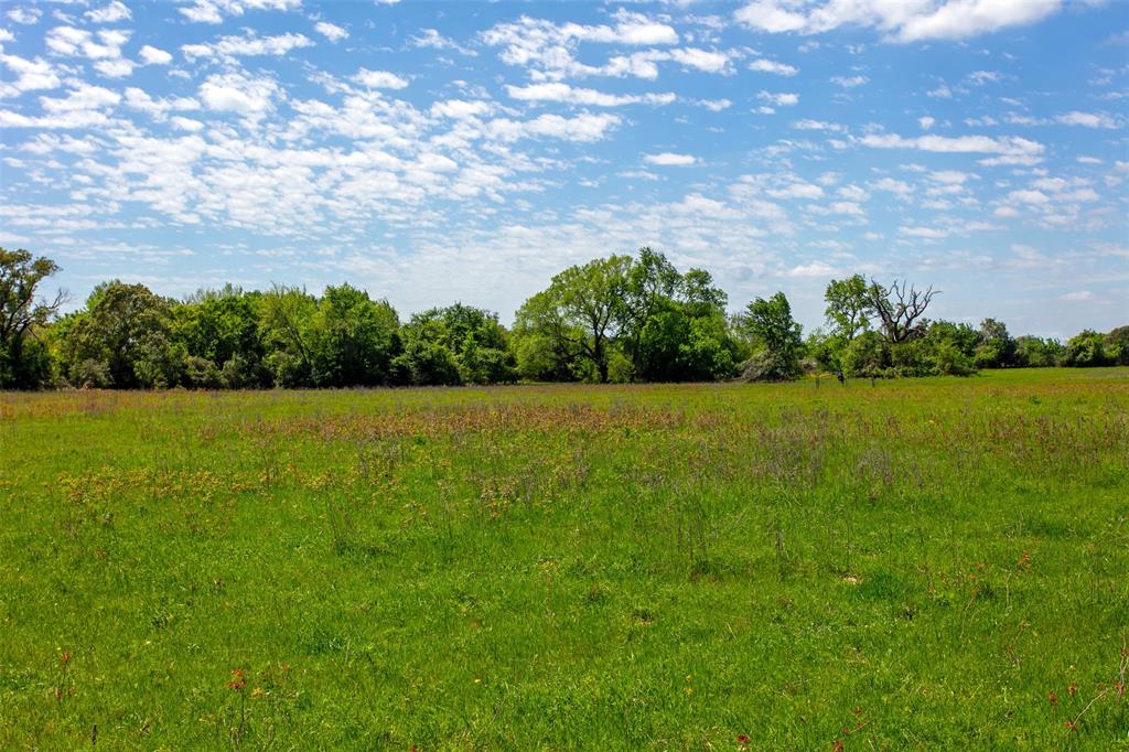 6558 Farm To Market 1119  , Centerville, Texas image 18