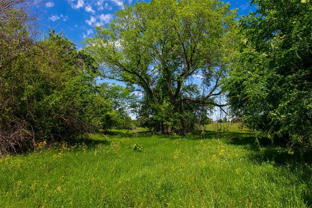 6558 Farm To Market 1119  , Centerville, Texas image 20