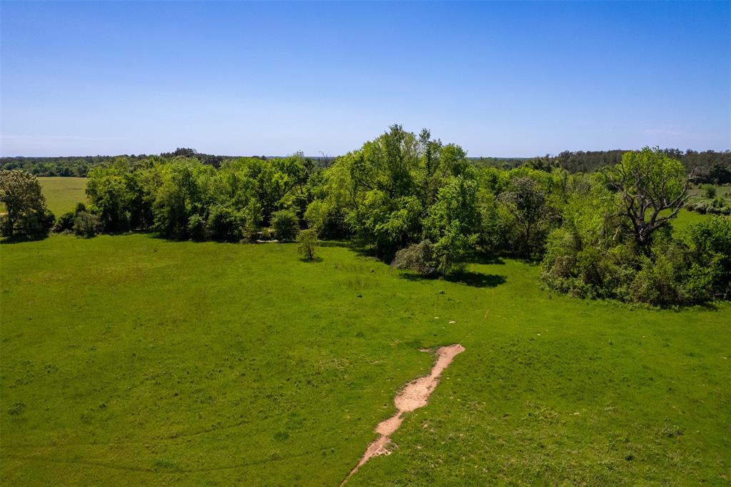 6558 Farm To Market 1119  , Centerville, Texas image 23