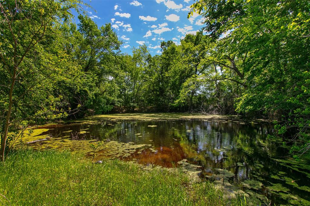 6558 Farm To Market 1119  , Centerville, Texas image 4