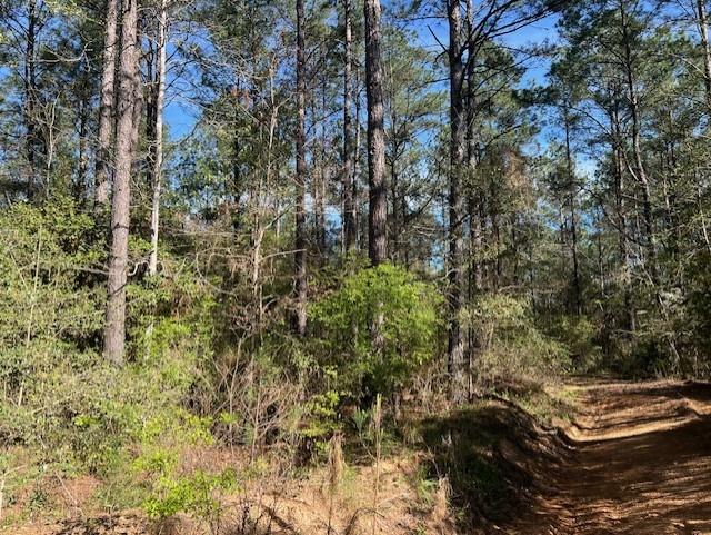 Come enjoy this 12.646 -acre tract in the much sought after Big Sandy School District.  The tract is full of pine timber with a mix of Hardwoods.  This tract also has a little creek running through it.   This tract is only a few miles from the Naskila Casino which is growing and tons of opportunities. The land is lightly restricted, and you can build your new home or move in a manufactured home.  Don’t miss out on owning your own piece of land in the country.  This land is very affordable and will make a great investment!  Make your choice of only 4 tracts left that are available.