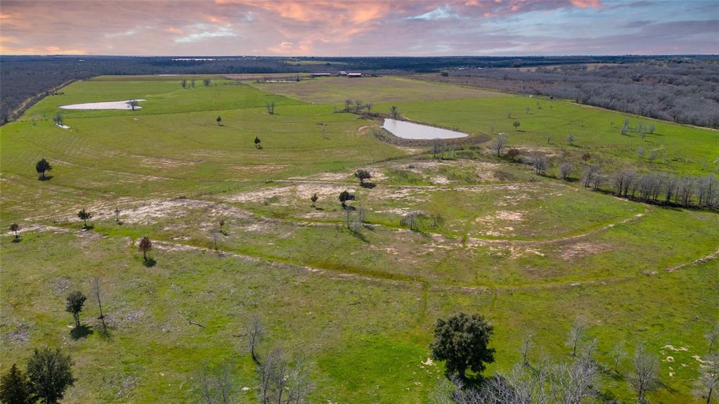 62 County Road 448  , Waelder, Texas image 5