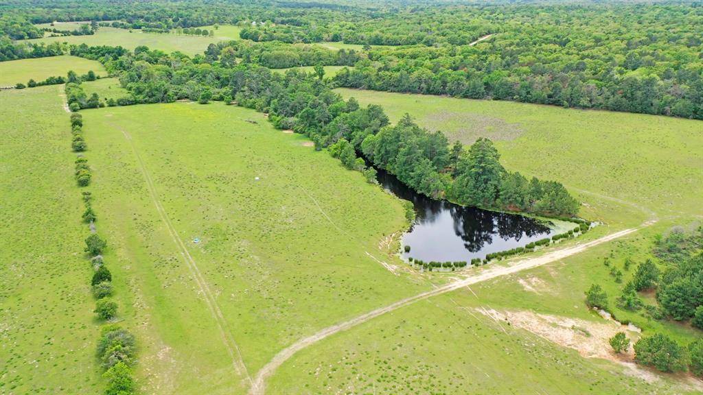 180+/- acres for sale in Leon county on the outskirts of Flynn, Tx. Property is Ag exempt serving as a cattle ranch which also has the capability of producing hay each year. There are 3 ponds, one of which is spring fed supplying plenty of water for the wildlife, as well as a great fishing hole for the family. There is a tremendous amount of elevation change throughout the property with multiple locations for future homesites. Electricity and community water is available at the highway.  There is apx. 2776' of Hwy 39 road frontage allowing many different options as to how this tract could be developed. Seller is negotiable on seller owned minerals as well. It has hard to capture the rolling terrain and flow of the land in pictures, schedule a showing and take a look for yourself.