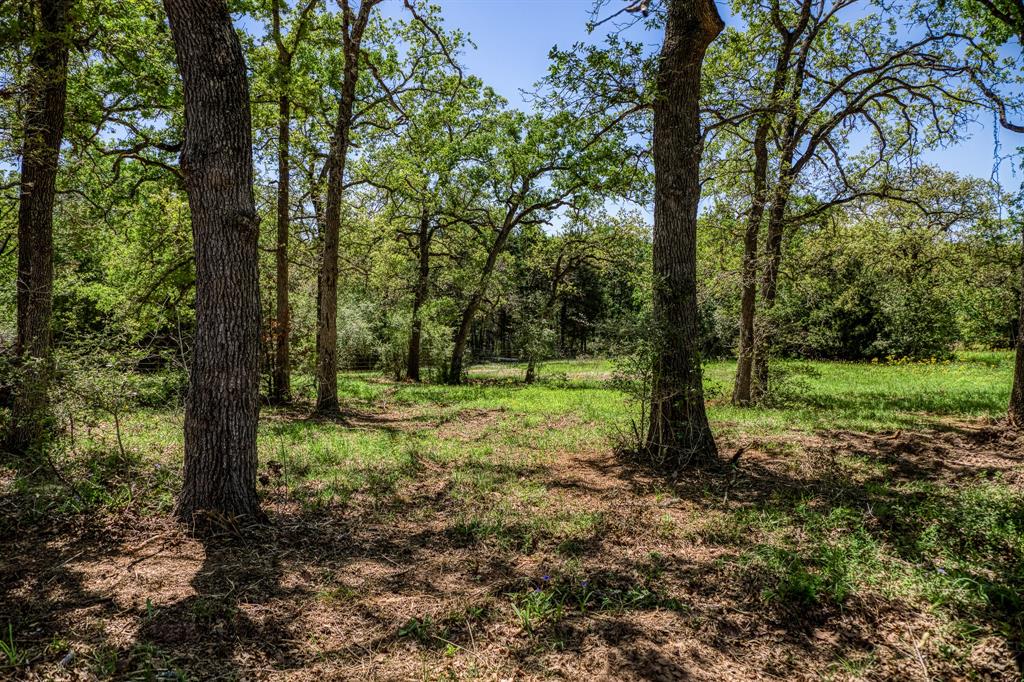 Great opportunity for a secluded, country property between Austin and Bryan/College Station! This 25.431 Acres offers easy access off Hwy 21 and is located near the dead-end of a paved, county maintained road. Minimal traffic provides privacy, seclusion, clear skies and quiet nights. This property is covered is mature oaks, cedars, elms and Yaupon. Densely wooded with some cleared trails and two cleared areas with scattered trees. Elevation varying from 370' to 410' gently sloping upward from the road to the back of the property. 2 stock ponds on-site, one near the front of the property and one near the back. Fully perimeter fenced, Ag. exempt, no restrictions, no floodplain, no pipelines, no oil/gas activity and no leases. Bluebonnet Electric overhead lines and Lee County Water supply lines located along CR 436. Lexington ISD! This one checks all the boxes! 25 miles to Nails Creek State Park at Lake Somerville, 38 miles to Bastrop, and 41 miles to RELLIS Campus in Bryan!