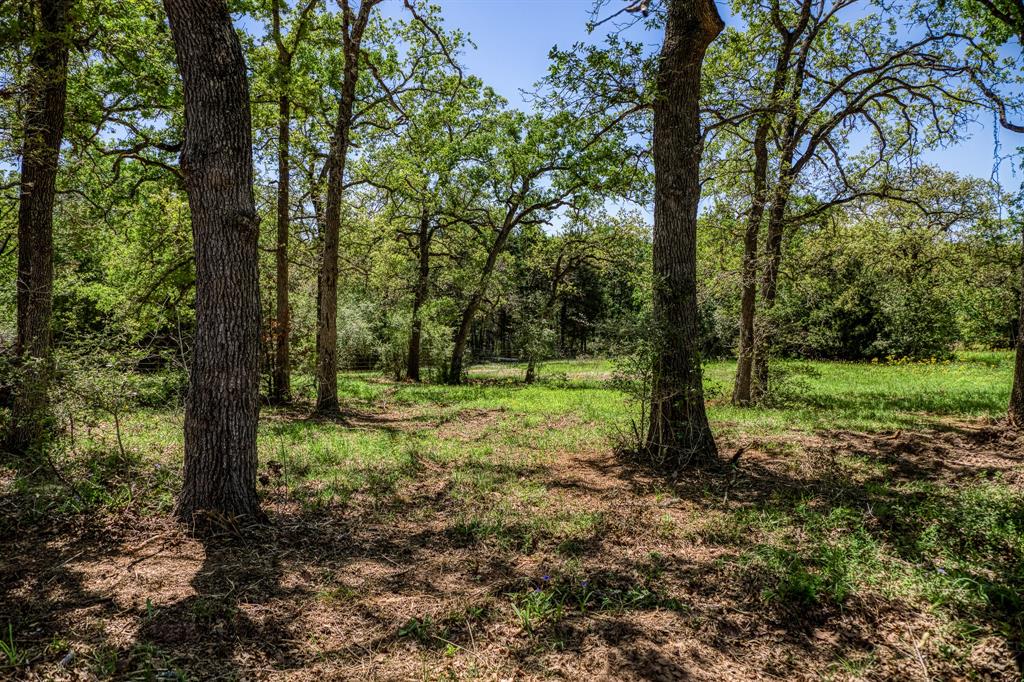TBD (25 43 Acres) County Rd 436