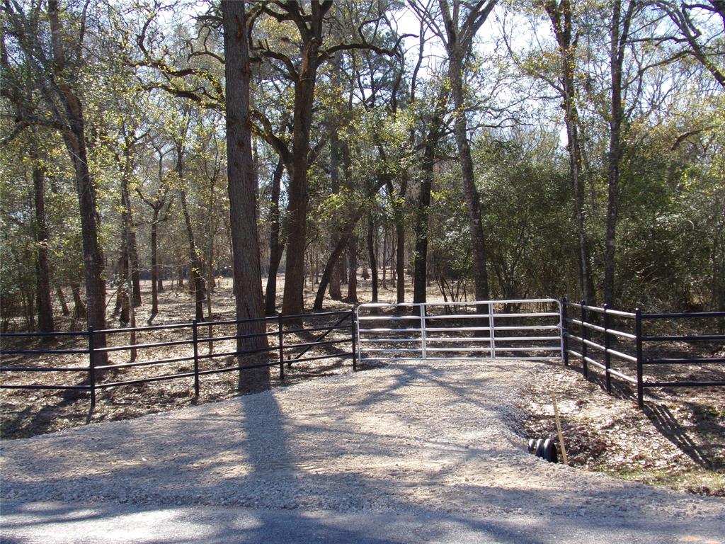 31093 Joseph Road , Hockley, Texas image 15