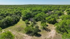 48.25 ACRES County Road 114, George West, TX 78466