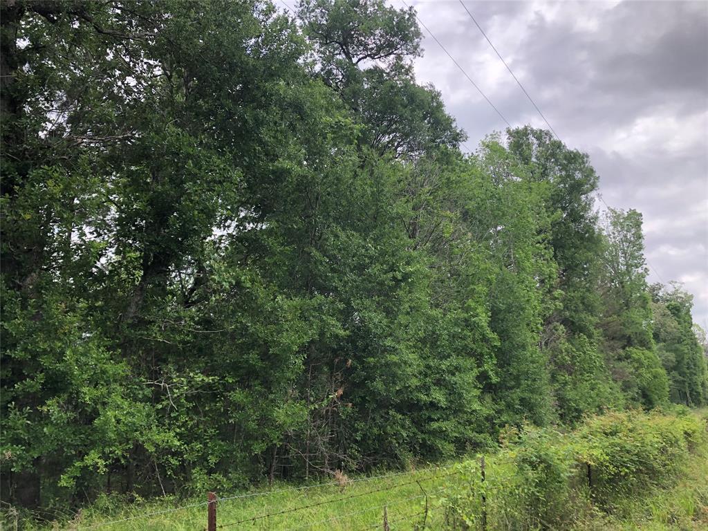 Looking for a hard to find 4 acre tract of land to build on? Located near the crossroads of Liberty County, Texas, makes this an excellent location for commuters or retirees. This is a restricted wooded tract of land located on CR 2112 a/k/a Whaley Cove Rd. This 4 acre tract of land will need to be surveyed out of it's larger 99 acre tract. It will consist of approx. 416' of frontage and depth. No manufactured housing, modular or mobile homes allowed. New built only with minor deed restrictions. See Attachments.