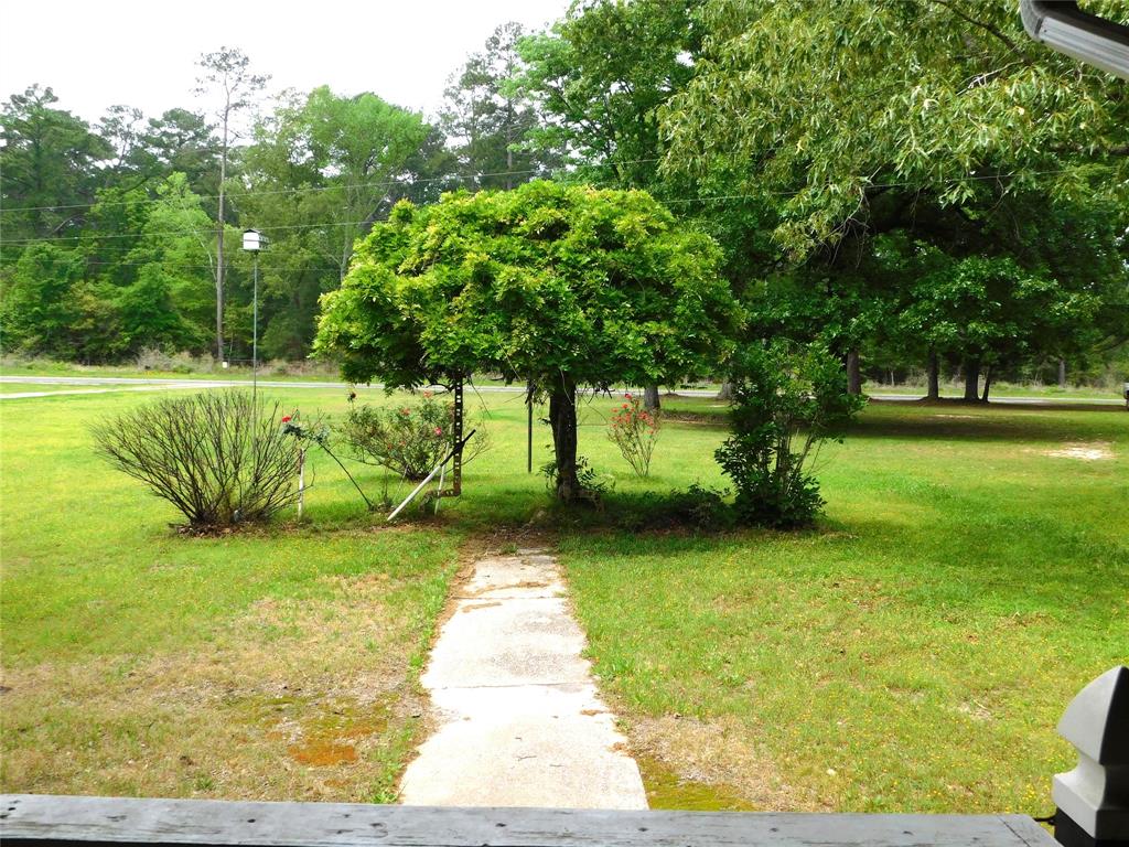 Just outside your front door, beautiful mature trees