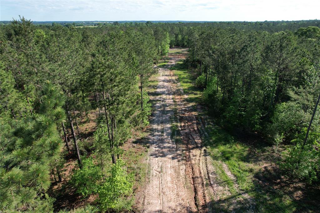 PRETTY TIMBER TRACT! 
 Come see this 285-acre timber tract in the Latexo community! Whether you are looking for a hunting tract, investment, or both, look no further! Minutes from Crockett, this tract of land has large mature pines and a great road system for easy navigating. This property offers excellent hunting and the owner reports an abundance of whitetail deer. There are a few creeks and streams on the property, being a great water source for wildlife in the area. For your private showing, give us a call today!