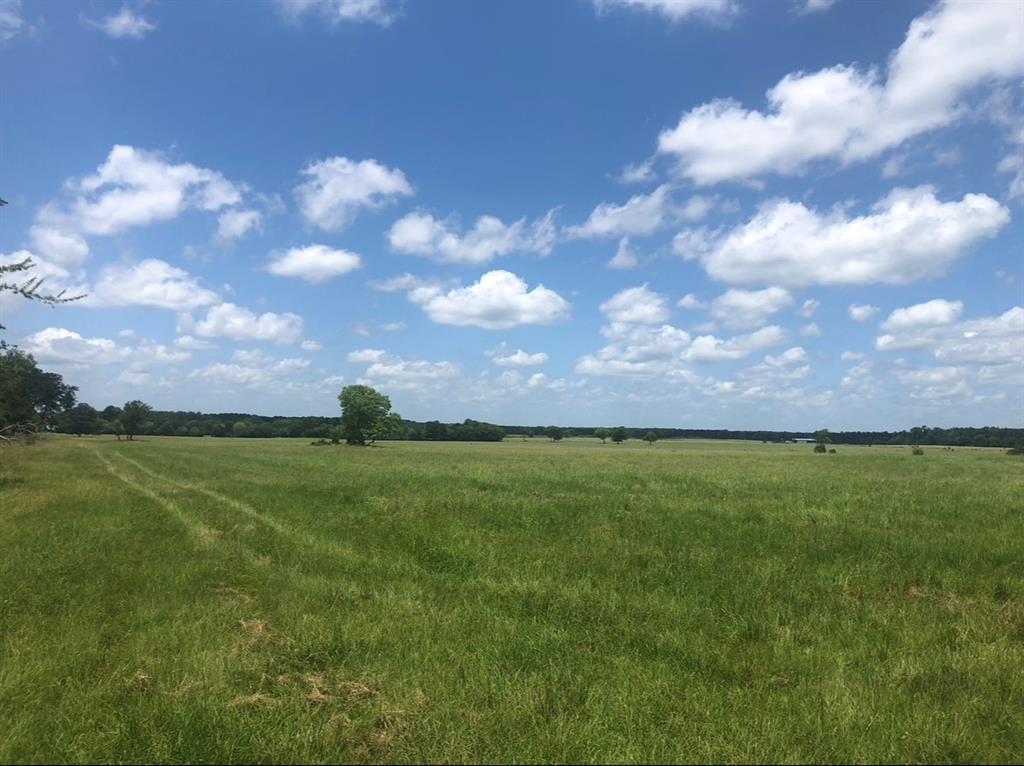 375+/- Acres adjoining the Davy Crockett National Forest. This property is setup for a cattle ranch crossed fenced with 6 pastures, pipe working pens and 7 ponds with the largest being 2 acres. Plenty of space to store your equipment in the 50ftx200ft enclosed barn and 50ftx125ft covered equipment shed/hay barn. In addition to enjoying the peaceful ranch life the seller has reported awesome deer hunting on the property. There is a cabin under the barn setup for weekend stays or housing for a ranch manager.  Several building sites across the property.