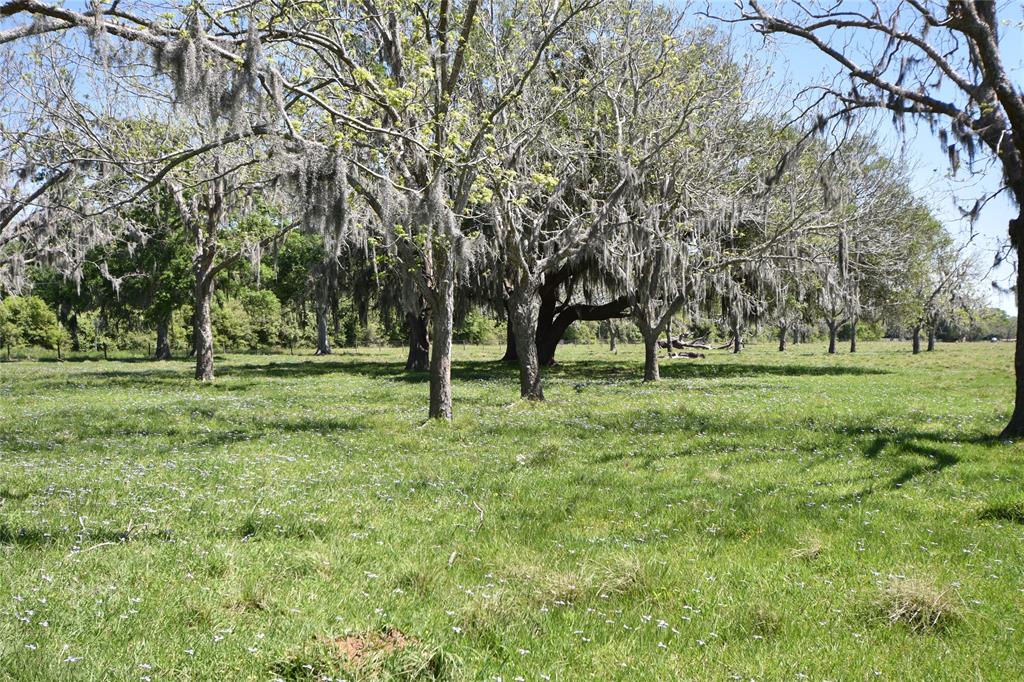 901 Fm 522 Road , West Columbia, Texas image 27