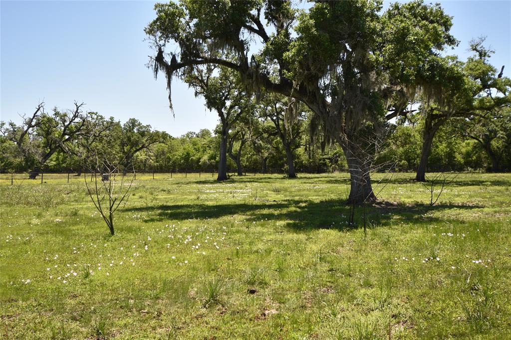 901 Fm 522 Road , West Columbia, Texas image 36