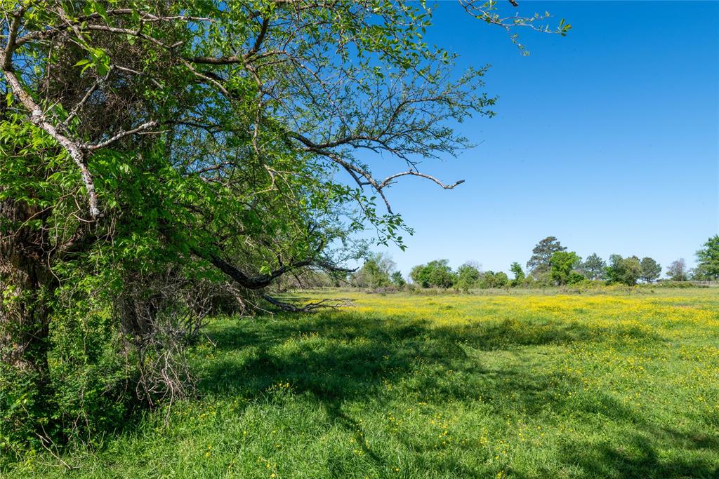 This ranch would make a fantastic homesite, or would easily lend itself to development into ranchettes, with nearly ½ mile of paved road frontage on FM 2620 and a similar amount of frontage on CR 229. Highlights include a ±2-acre pond, some scattered large oaks and bois d’arcs, and nice relief. Houston, College Station, and Huntsville are all short drives away. The high point on the ranch has an approximate elevation of 390 feet. From this slight hilltop, the terrain slopes gently down in all directions, with maximum relief of approximately 35 feet. Scattered oaks, mesquite, cedar elms, bois d’arcs are the primary tree species. Grasses are native and include Bahai and Bermuda, soils are light sandy loam. There are three tanks on the ranch. Two tanks held water during the severe drought the area experienced in 2023. Minerals: surface sale only.