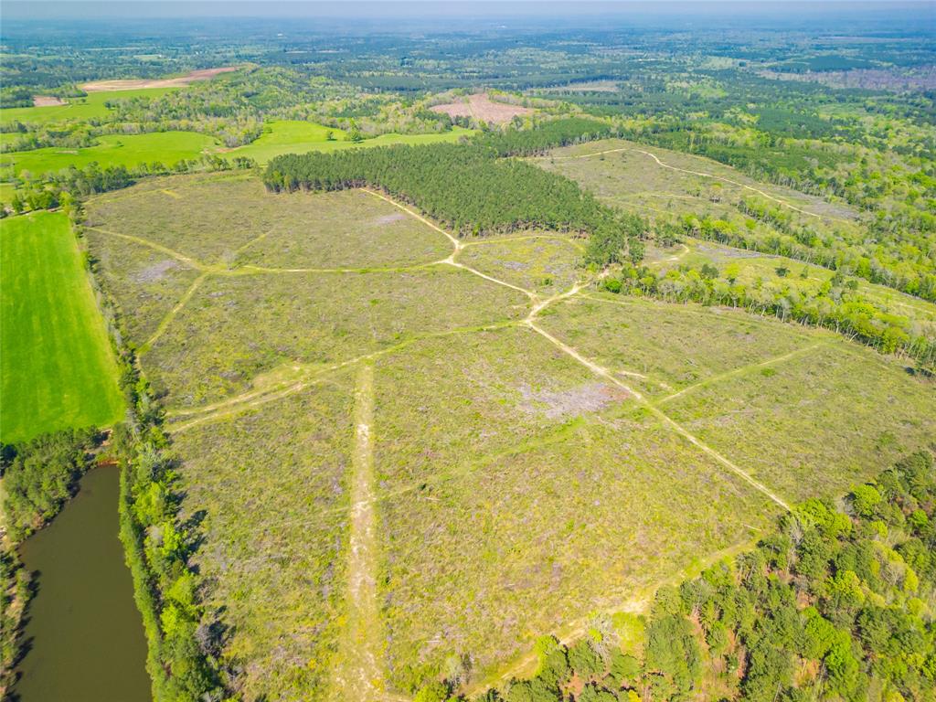 TBD Farm To Market Road 343  , Rusk, Texas image 11