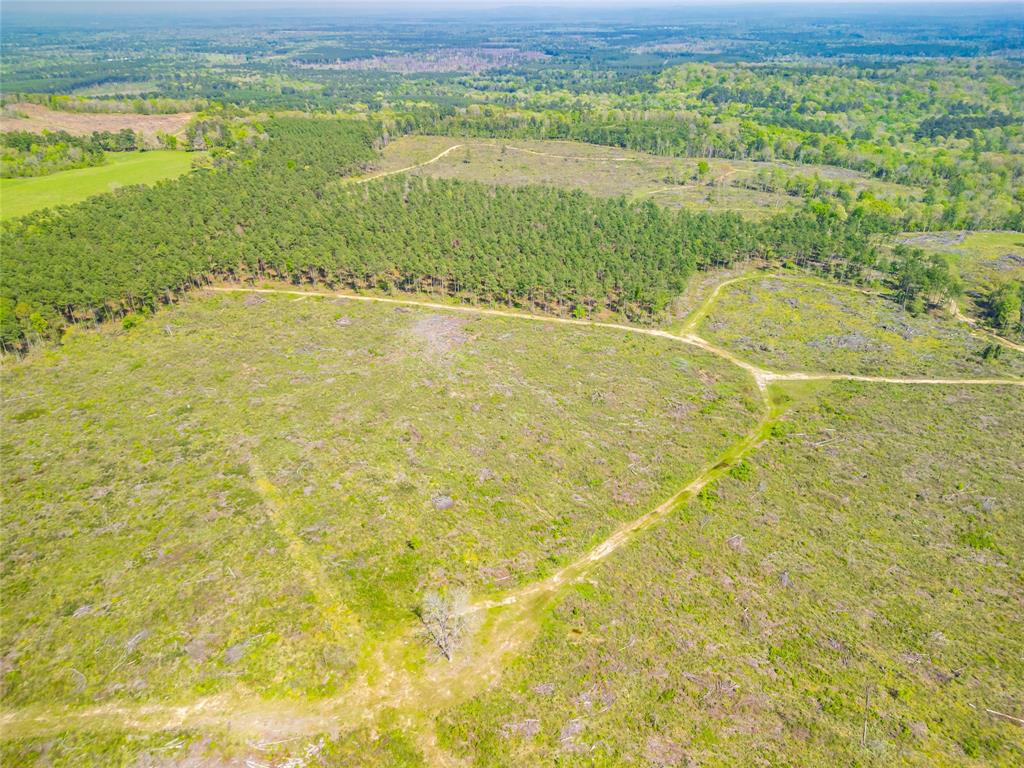 TBD Farm To Market Road 343  , Rusk, Texas image 12