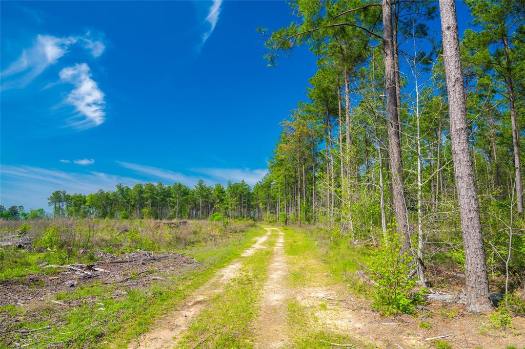 TBD Farm To Market Road 343  , Rusk, Texas image 9