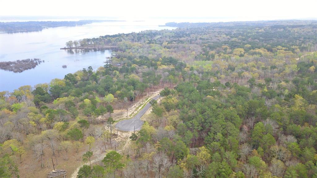 3281 Shadow Pine Drive , Larue, Texas image 14