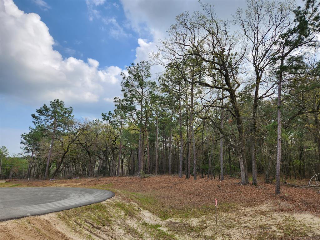 3281 Shadow Pine Drive , Larue, Texas image 4