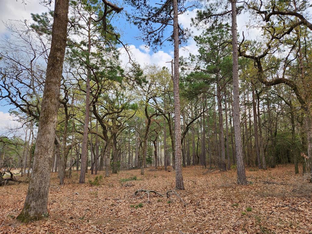 3281 Shadow Pine Drive , Larue, Texas image 9