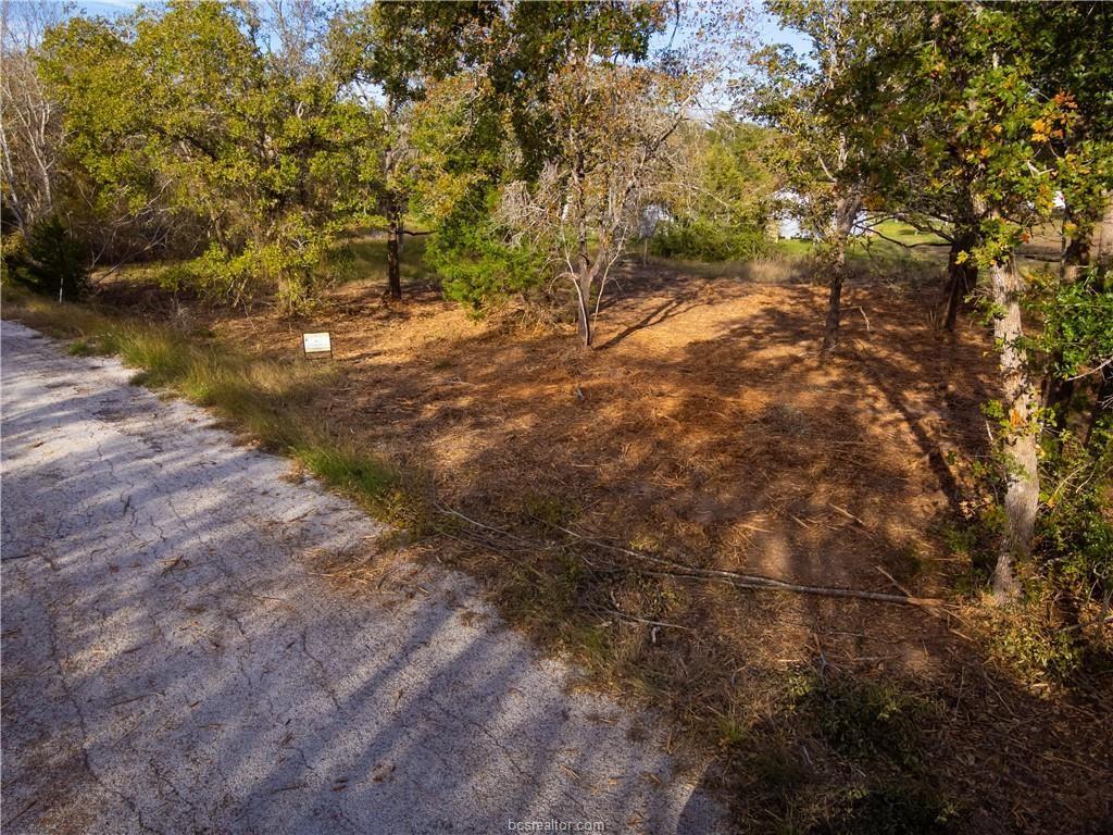 Lot 390 & 80 Hill Loop Road , Somerville, Texas image 4