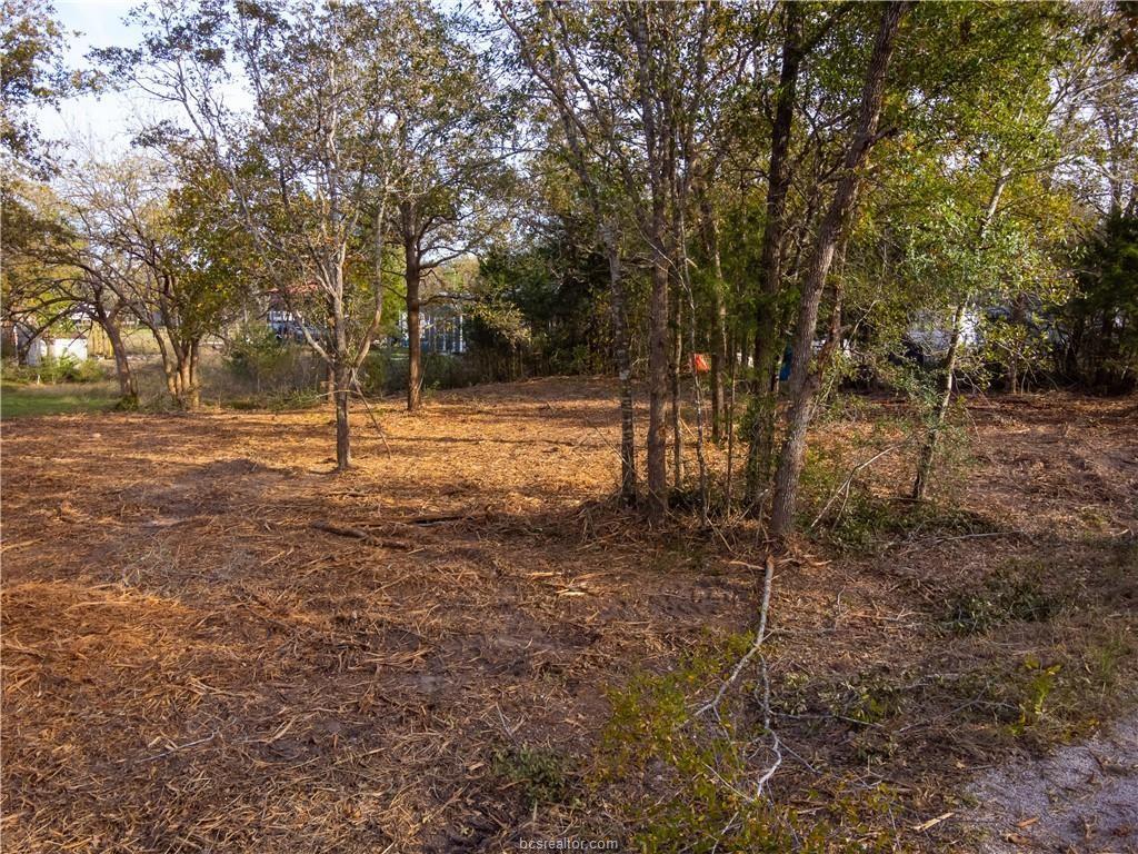 Lot 390 & 80 Hill Loop Road , Somerville, Texas image 5