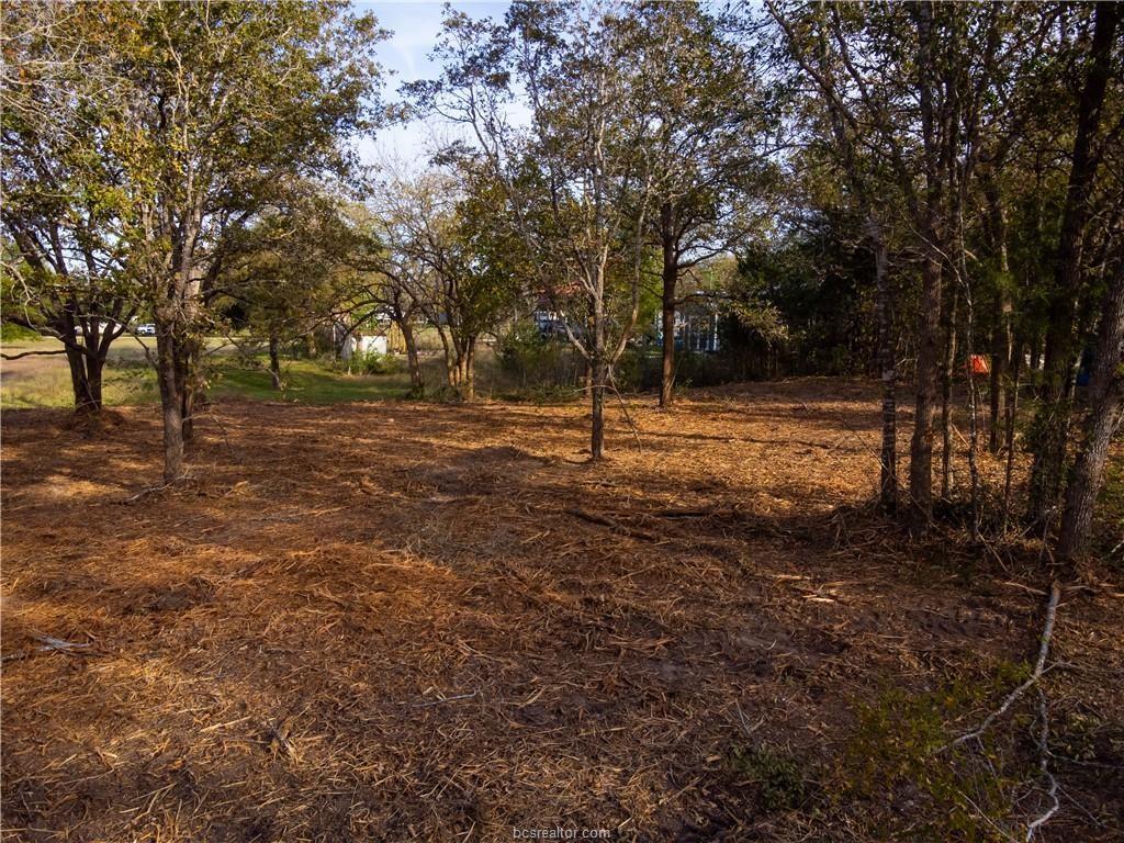 Lot 390 & 80 Hill Loop Road , Somerville, Texas image 6