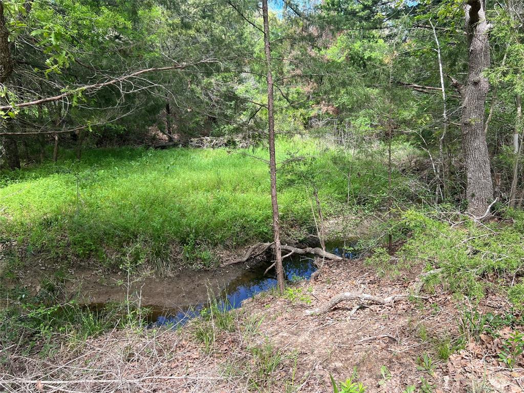 871 Big Berry Road , Somerville, Texas image 11