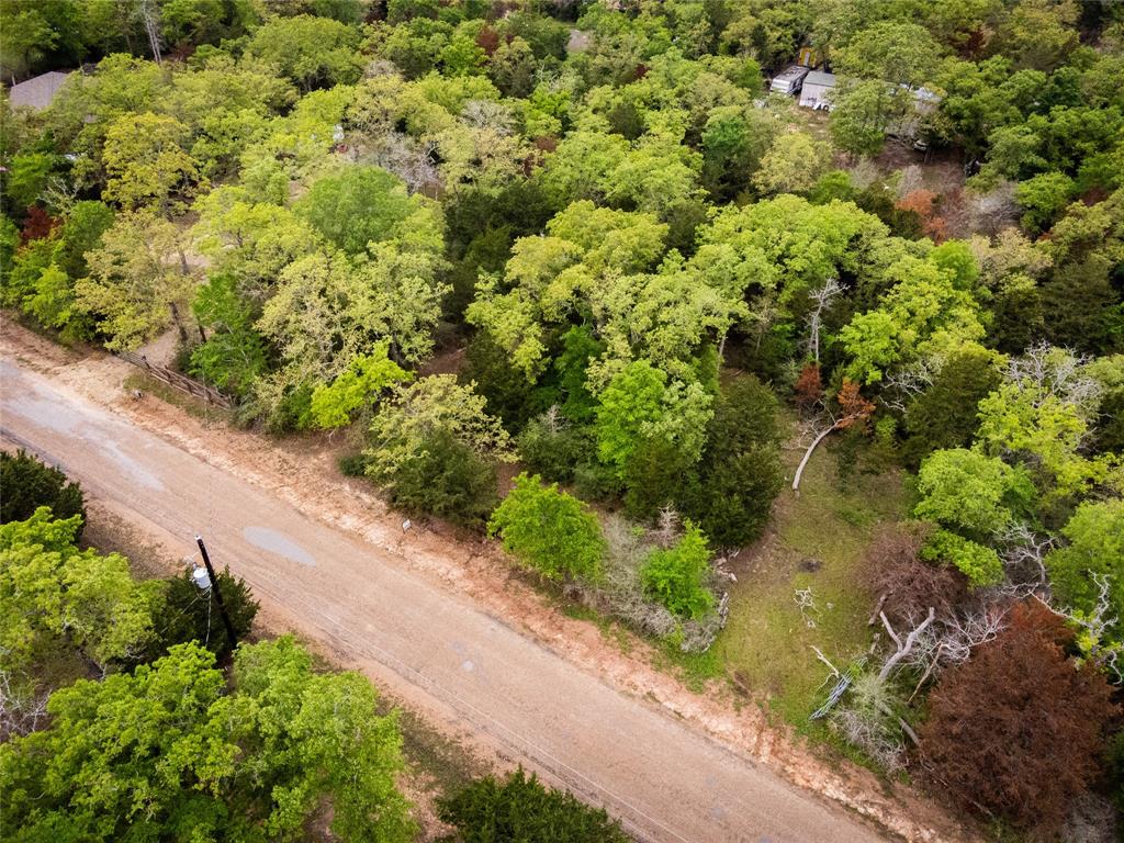 871 Big Berry Road , Somerville, Texas image 6