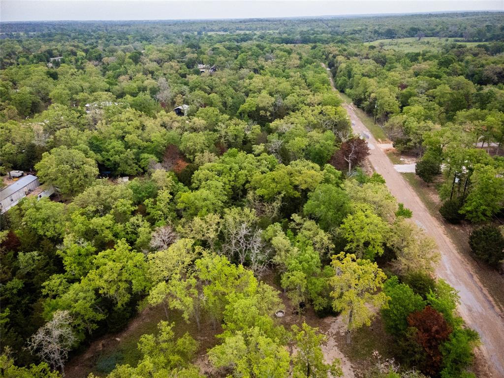 871 Big Berry Road , Somerville, Texas image 7