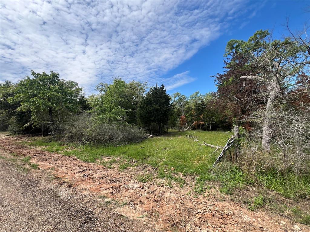 871 Big Berry Road , Somerville, Texas image 8