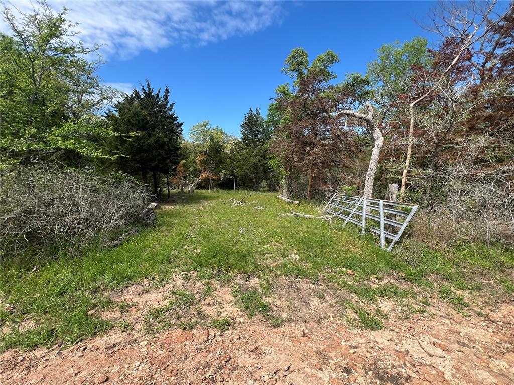 871 Big Berry Road , Somerville, Texas image 9