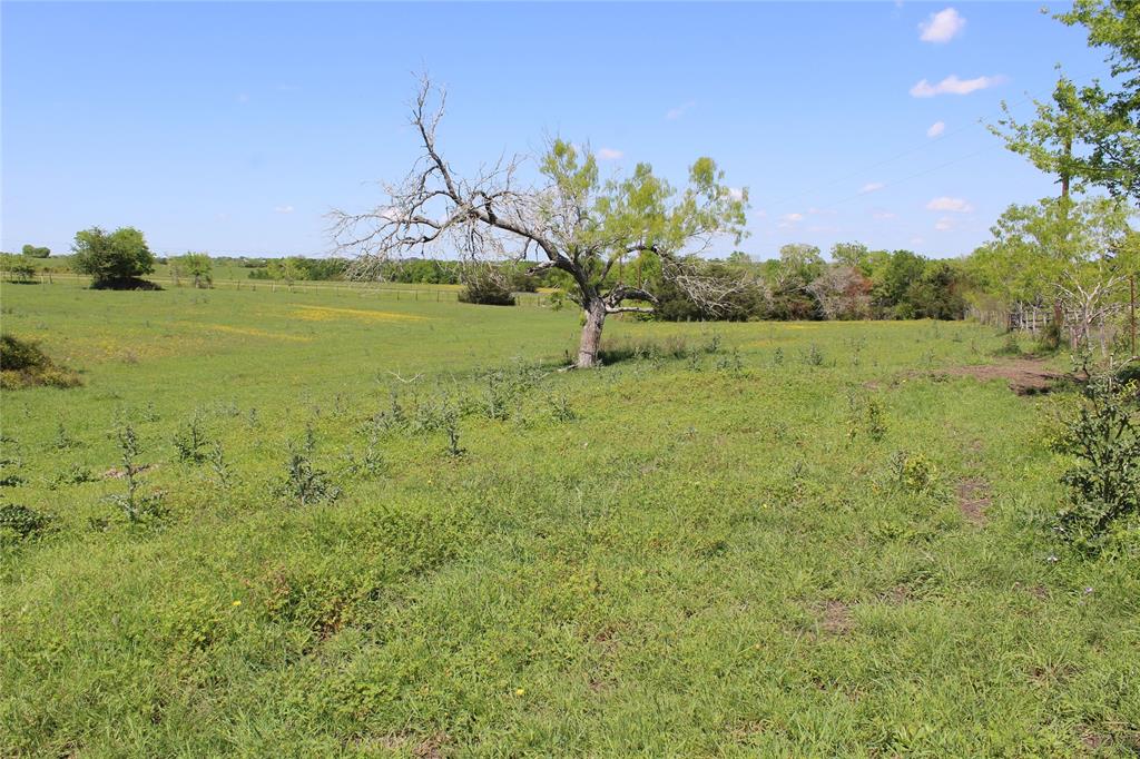 TBD Us-90  , Schulenburg, Texas image 16