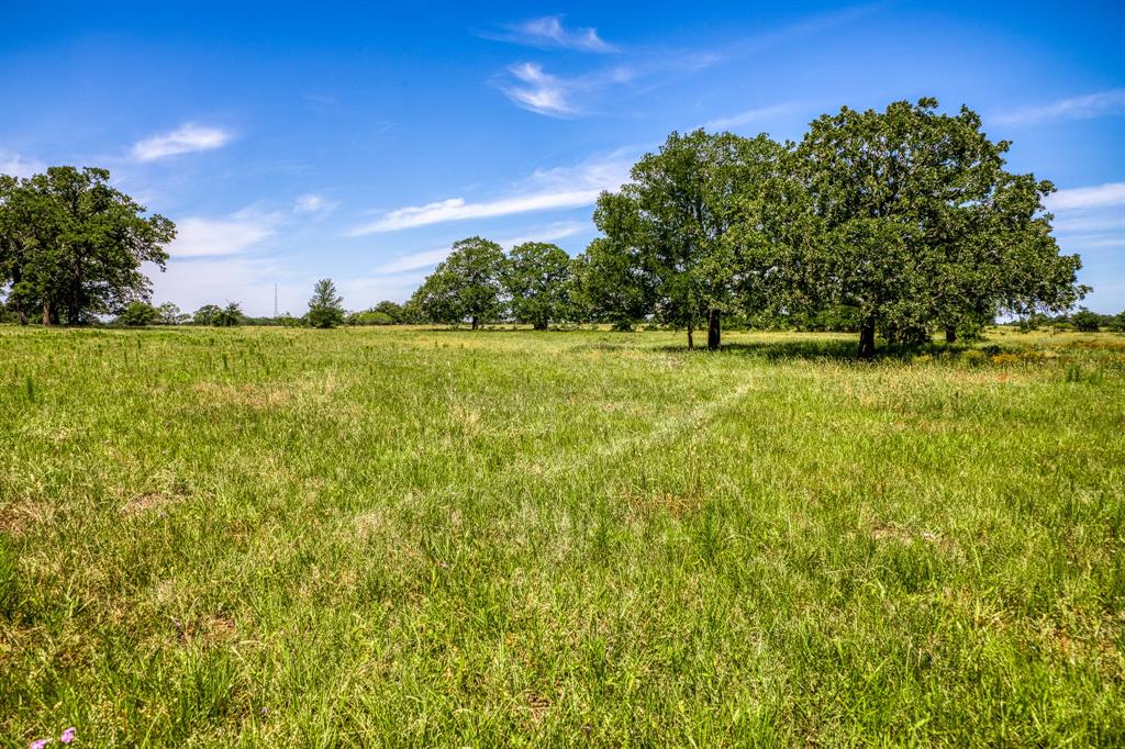 +/- 140 Acres of beautiful countryside centralized between Houston & Austin and located only 3 miles from Lake Somerville. Gently rolling pastureland, scattered trees, mature oaks, 3 ponds, wet-weather creek and approx. 1,900' of paved CR 423 frontage! No FEMA floodplain. Located outside the city limits. Build your dream home, run livestock, invest for the future, use for weekend getaways or a recreational retreat. So many possibilities with a location such as this one. Bluebonnet electric lines run along CR 423. Water well and septic will be needed. Partially game-proof, high-fenced and partially low-fenced. Lightly restricted to protect your investment. 18 miles to Brenham, 25 miles to College Station, 65 miles to Cypress, 90 miles to downtown Houston and 90 miles to Austin.