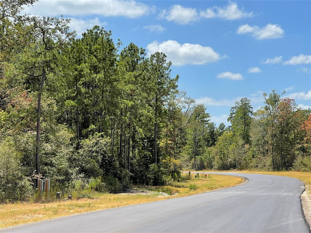 1-4-68 Courage Trail  , New Waverly, Texas image 11