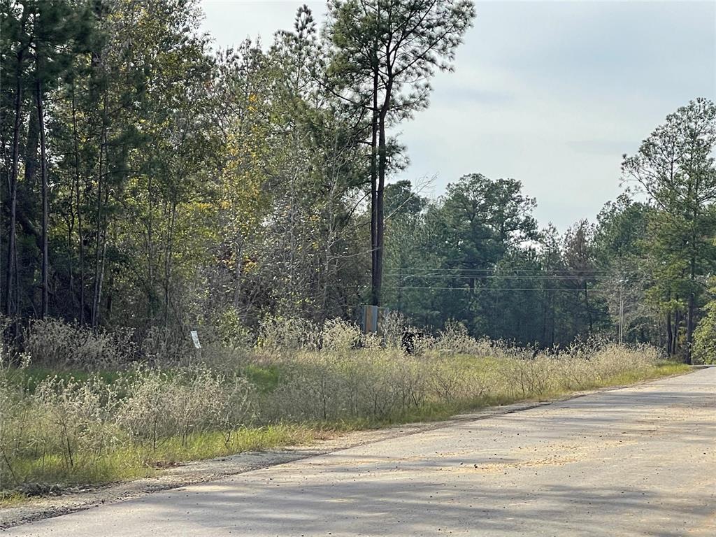 1-4-68 Courage Trail  , New Waverly, Texas image 4