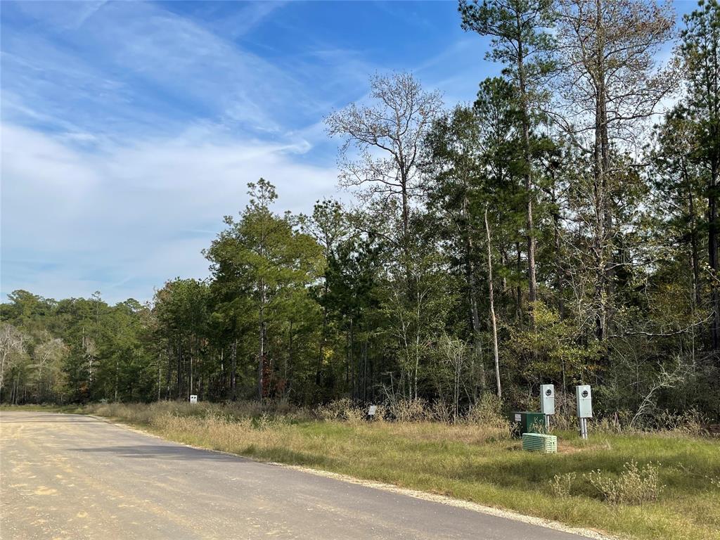 1-4-68 Courage Trail  , New Waverly, Texas image 6