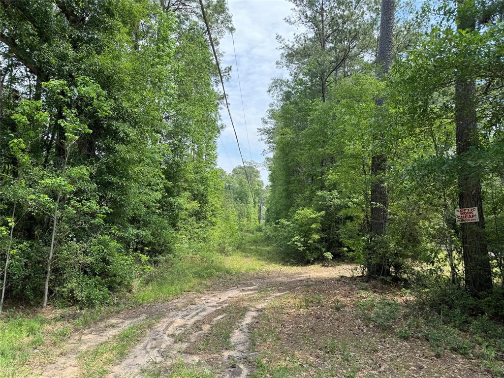 A beautiful 11.1 acre tract in Cleveland, mostly filled with mixed timber. Property has a creek that runs through the property, great property to enjoy nature. Just far enough from the hustle and bustle of Houston but just a quick drive away. Low property tax rate in this area.