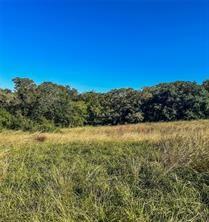 Lot 16 River Hollow Way , Blessing, Texas image 11