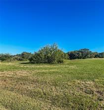 Lot 16 River Hollow Way , Blessing, Texas image 7