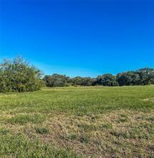 Lot 16 River Hollow Way , Blessing, Texas image 8