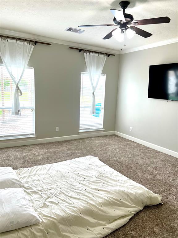 Large primary bedroom with brand new carpet and neutral paint.