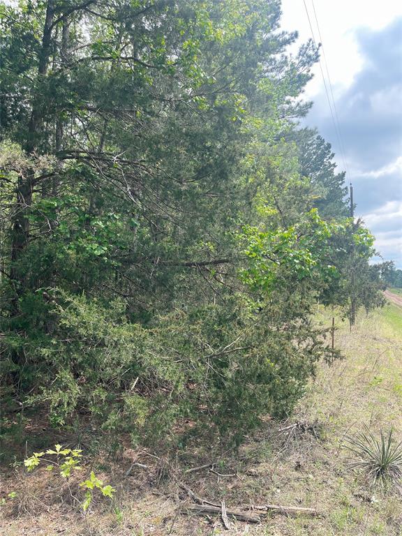 11 Acres of Unrestricted property ready for country living. Shared water well is available along with Electric at the road. The property is a blank canvas for the next owner!